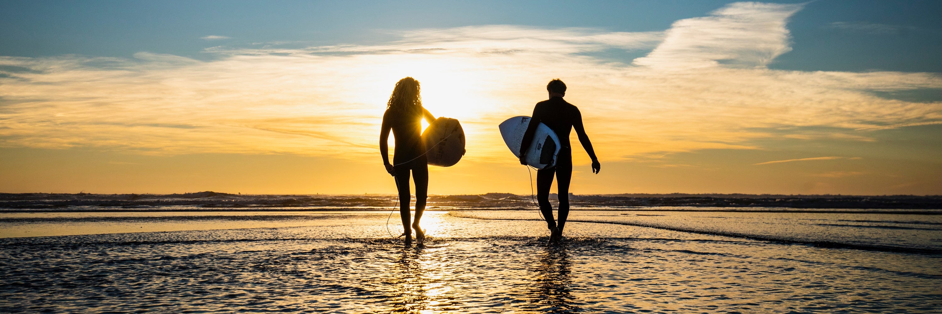 Firewire | Shop in United Kingdom